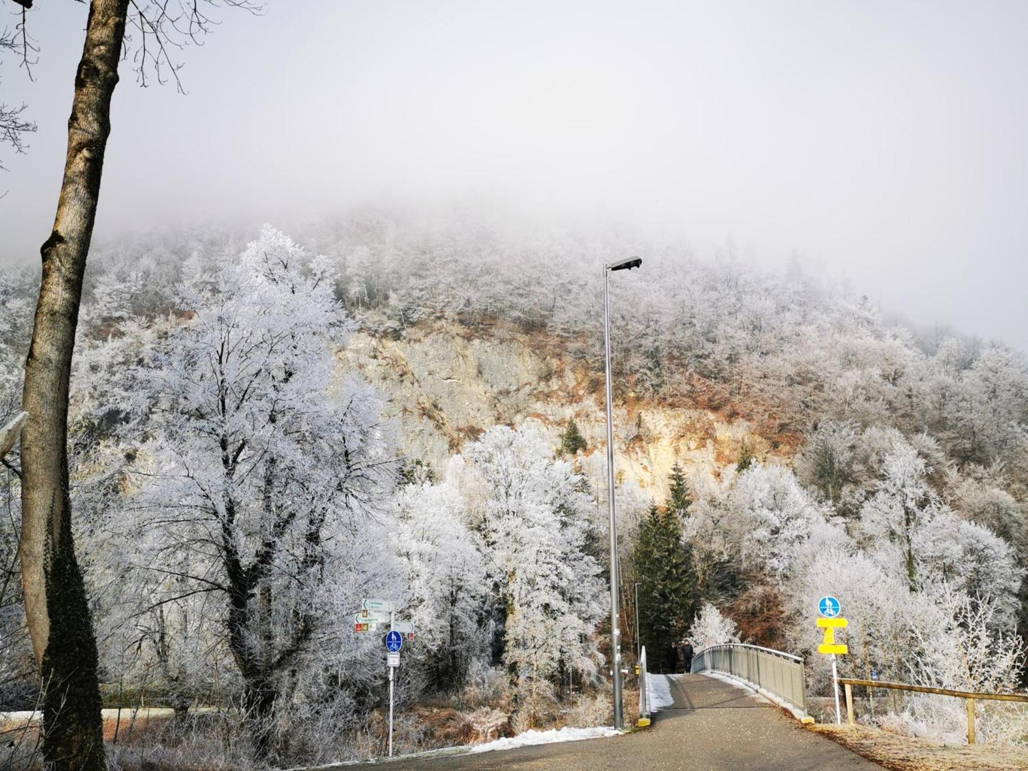 Gasthaus Staufenbruecke Bad Reichenhall Ngoại thất bức ảnh
